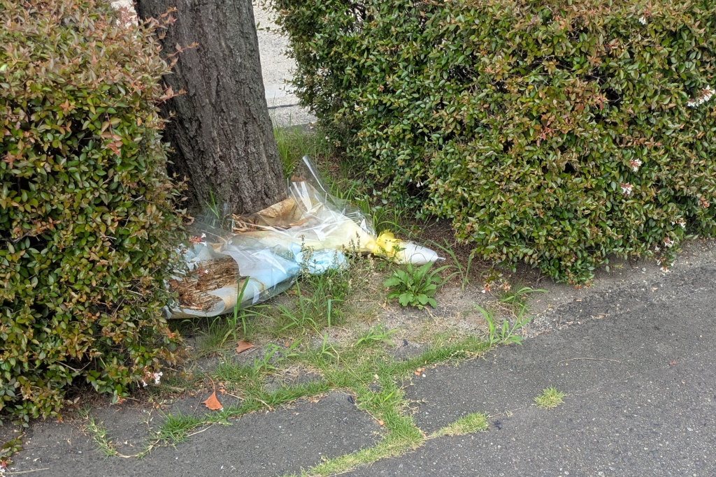 街路樹の傍らに供えられた献花らしき花束